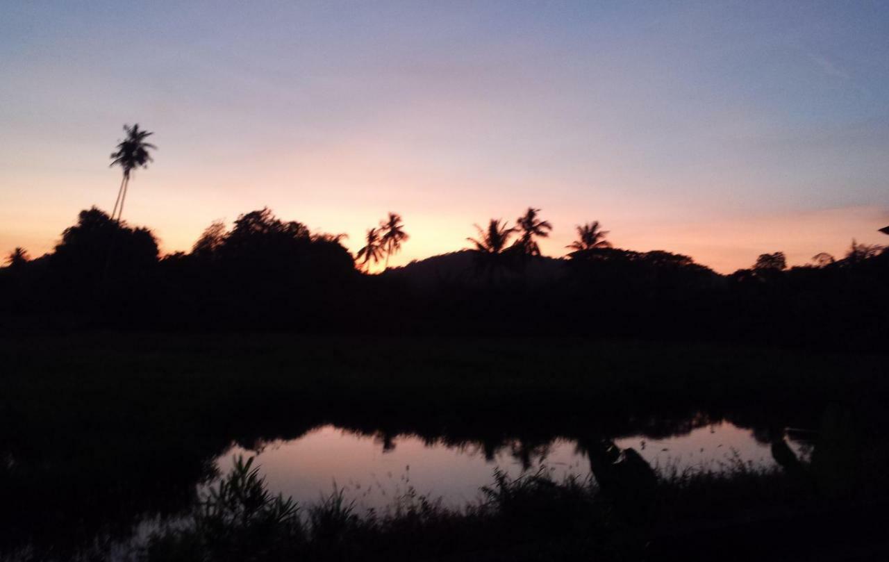 Tanabendang Banglos Pantai Cenang  Eksteriør bilde