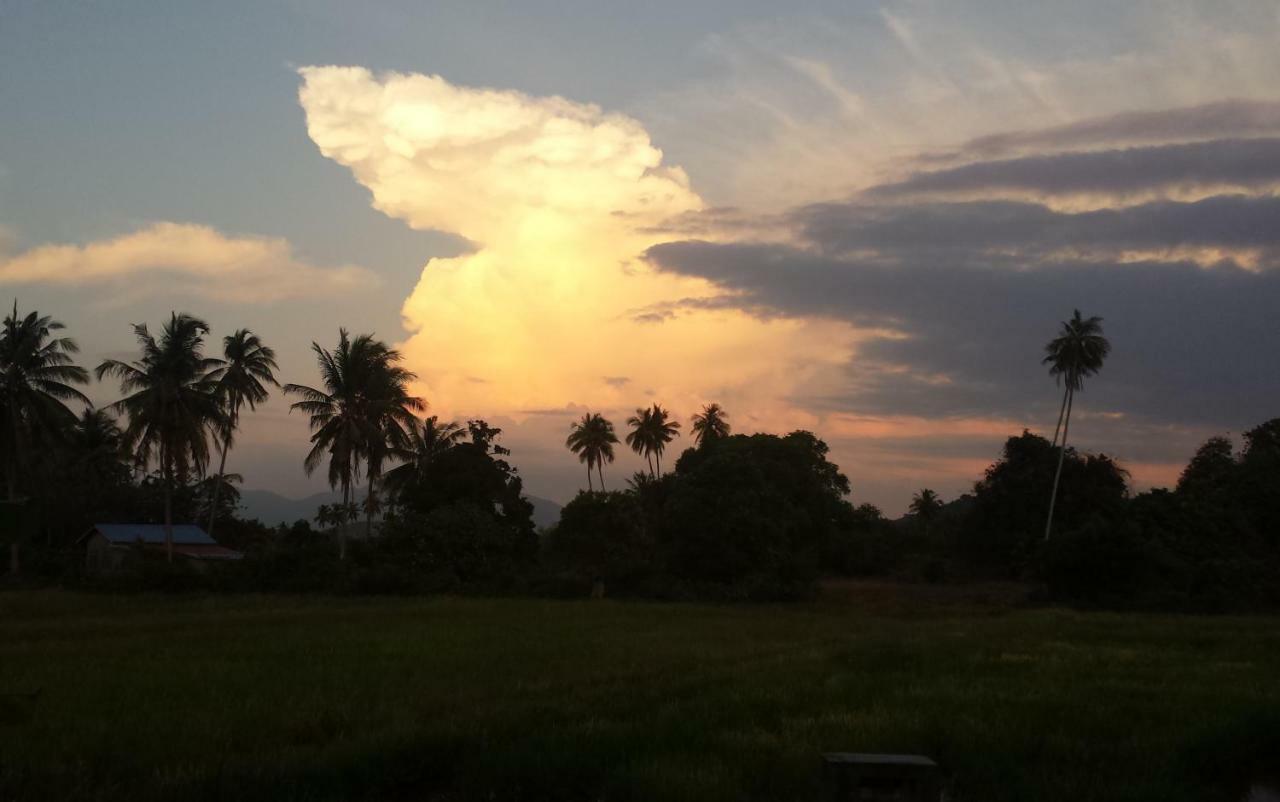 Tanabendang Banglos Pantai Cenang  Eksteriør bilde